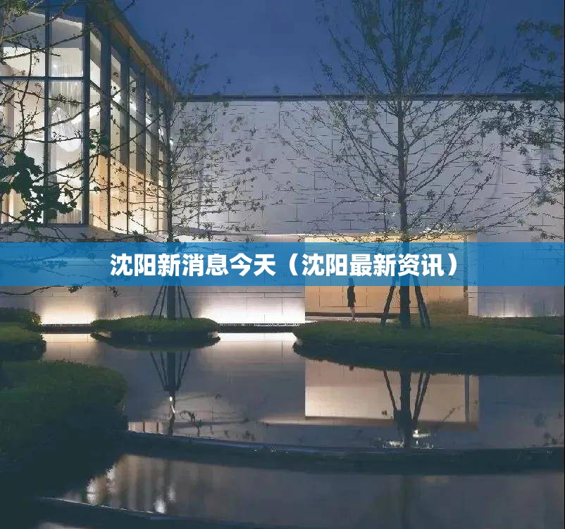 沈阳新消息今天（沈阳最新资讯）
