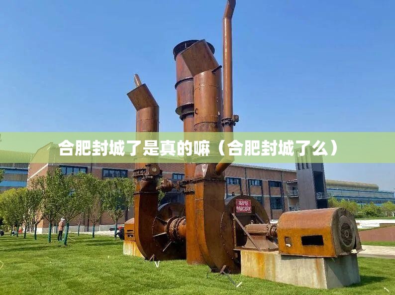 合肥封城了是真的嘛（合肥封城了么）