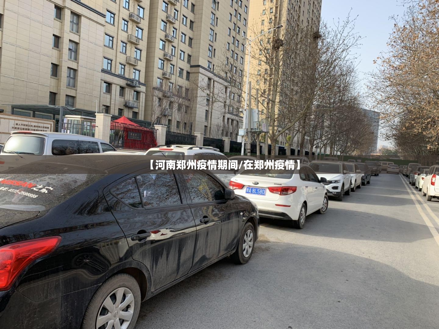【河南郑州疫情期间/在郑州疫情】