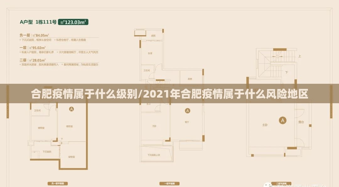 合肥疫情属于什么级别/2021年合肥疫情属于什么风险地区