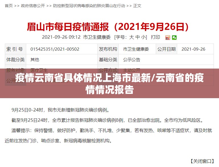 疫情云南省具体情况上海市最新/云南省的疫情情况报告