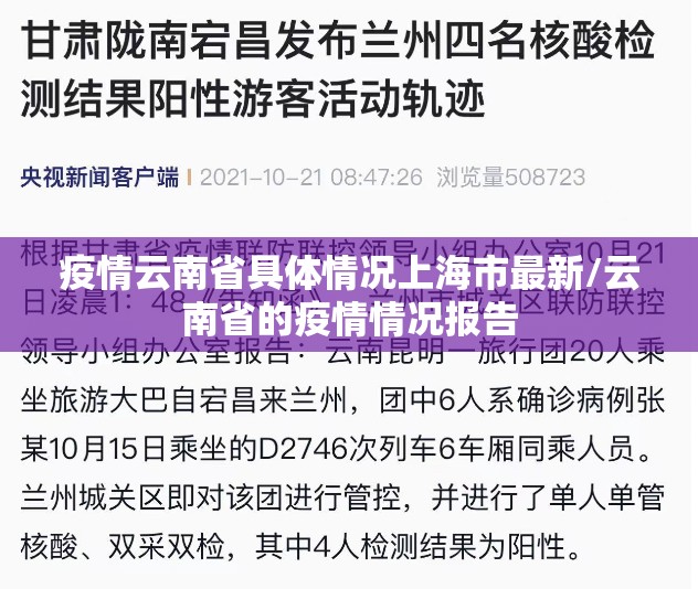 疫情云南省具体情况上海市最新/云南省的疫情情况报告