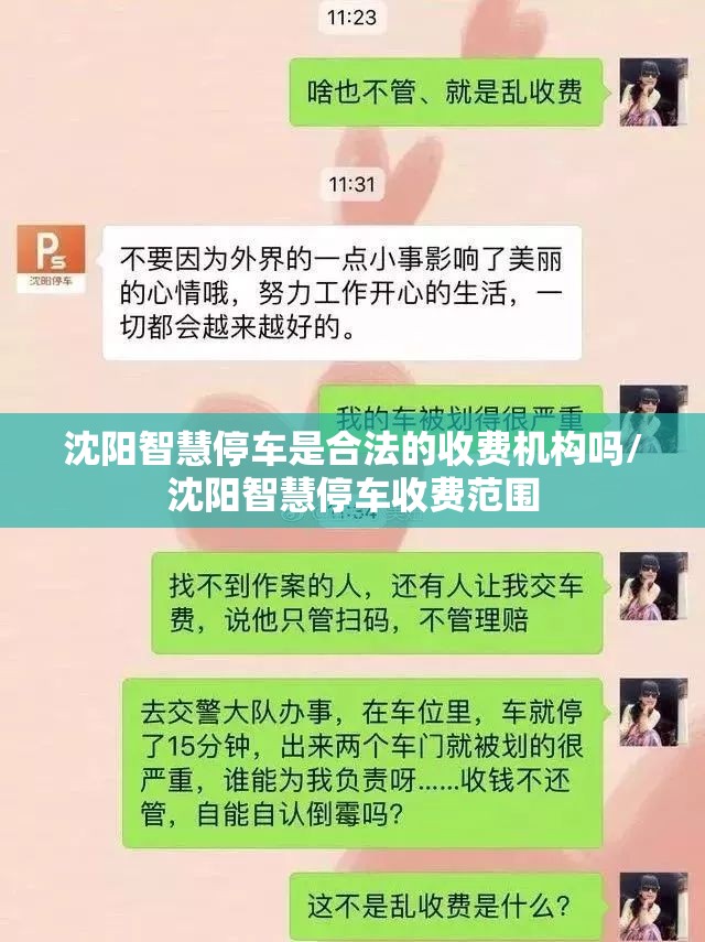 沈阳智慧停车是合法的收费机构吗/沈阳智慧停车收费范围