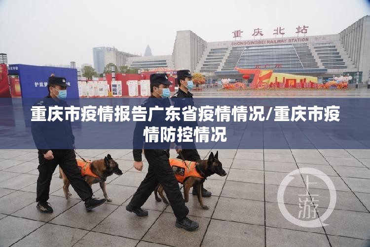 重庆市疫情报告广东省疫情情况/重庆市疫情防控情况