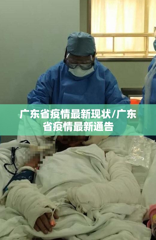 广东省疫情最新现状/广东省疫情最新通告