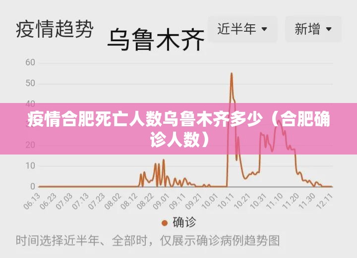 疫情合肥死亡人数乌鲁木齐多少（合肥确诊人数）