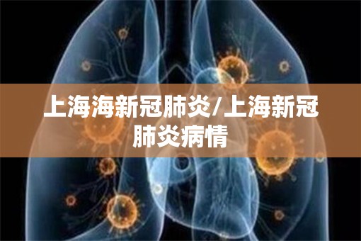 上海海新冠肺炎/上海新冠肺炎病情