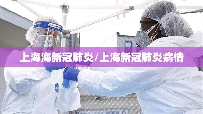 上海海新冠肺炎/上海新冠肺炎病情