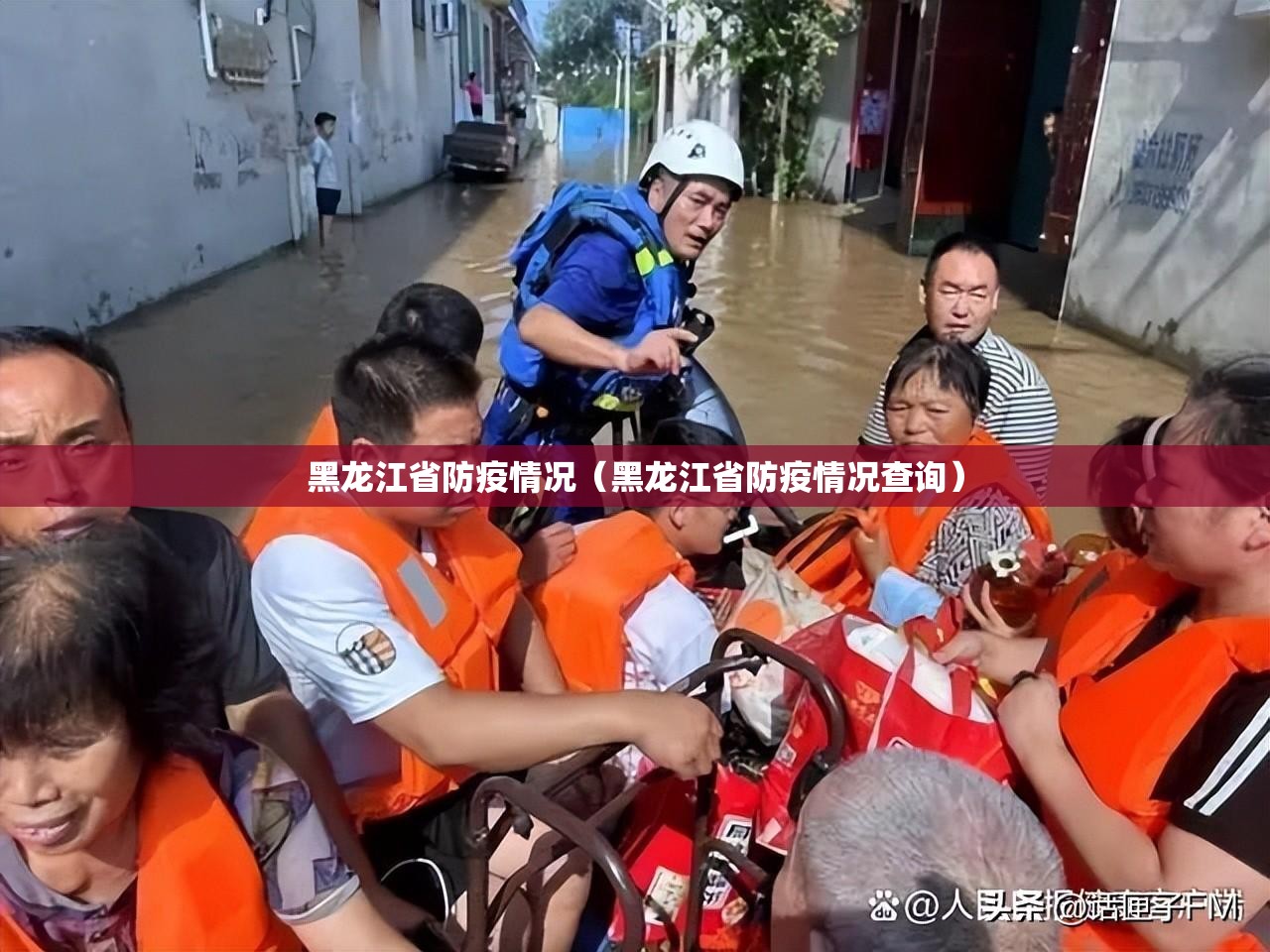 黑龙江省防疫情况（黑龙江省防疫情况查询）