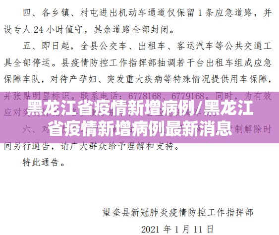 黑龙江省疫情新增病例/黑龙江省疫情新增病例最新消息