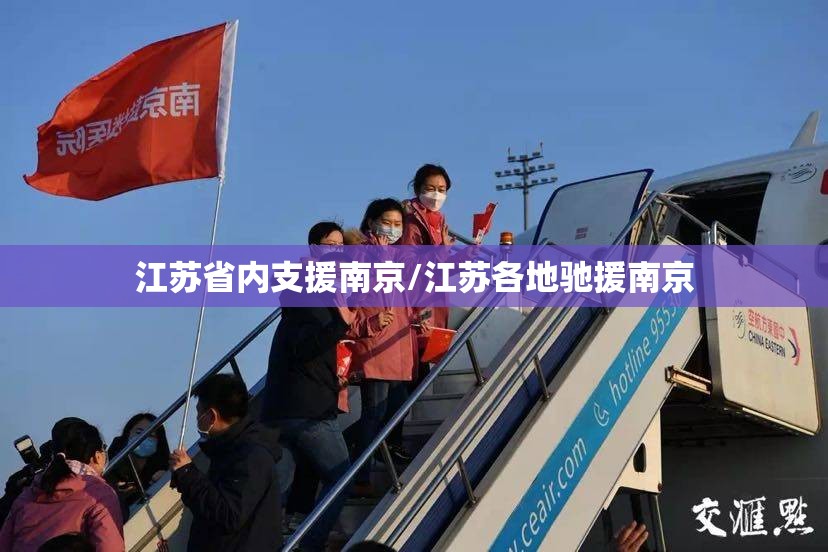 江苏省内支援南京/江苏各地驰援南京