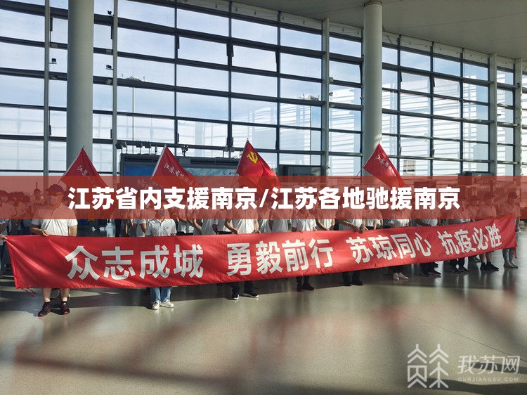 江苏省内支援南京/江苏各地驰援南京