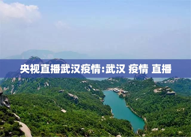 央视直播武汉疫情:武汉 疫情 直播