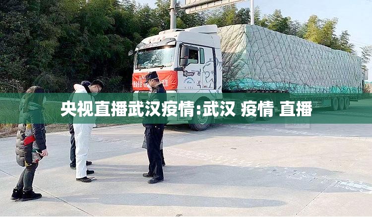 央视直播武汉疫情:武汉 疫情 直播