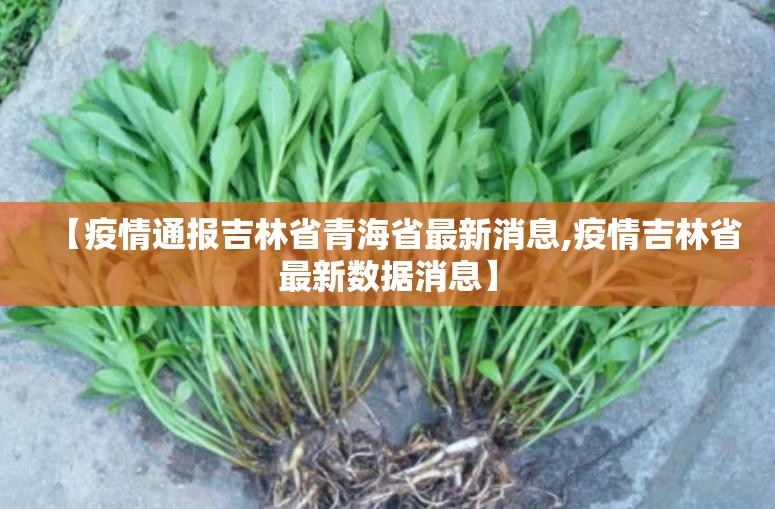 【疫情通报吉林省青海省最新消息,疫情吉林省最新数据消息】