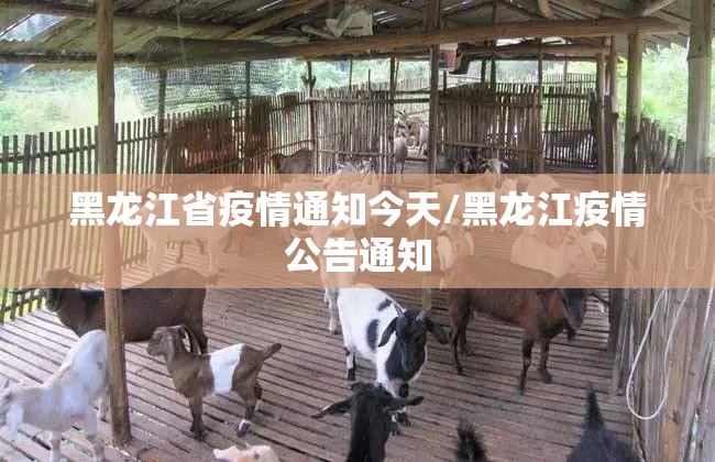 黑龙江省疫情通知今天/黑龙江疫情公告通知