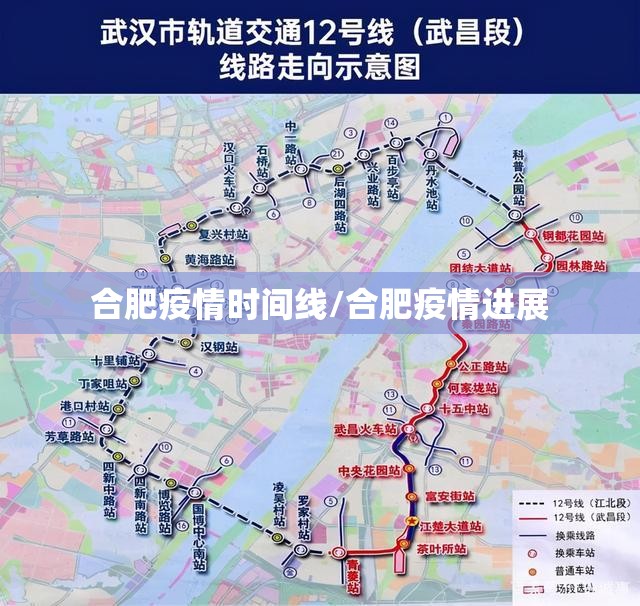 合肥疫情时间线/合肥疫情进展