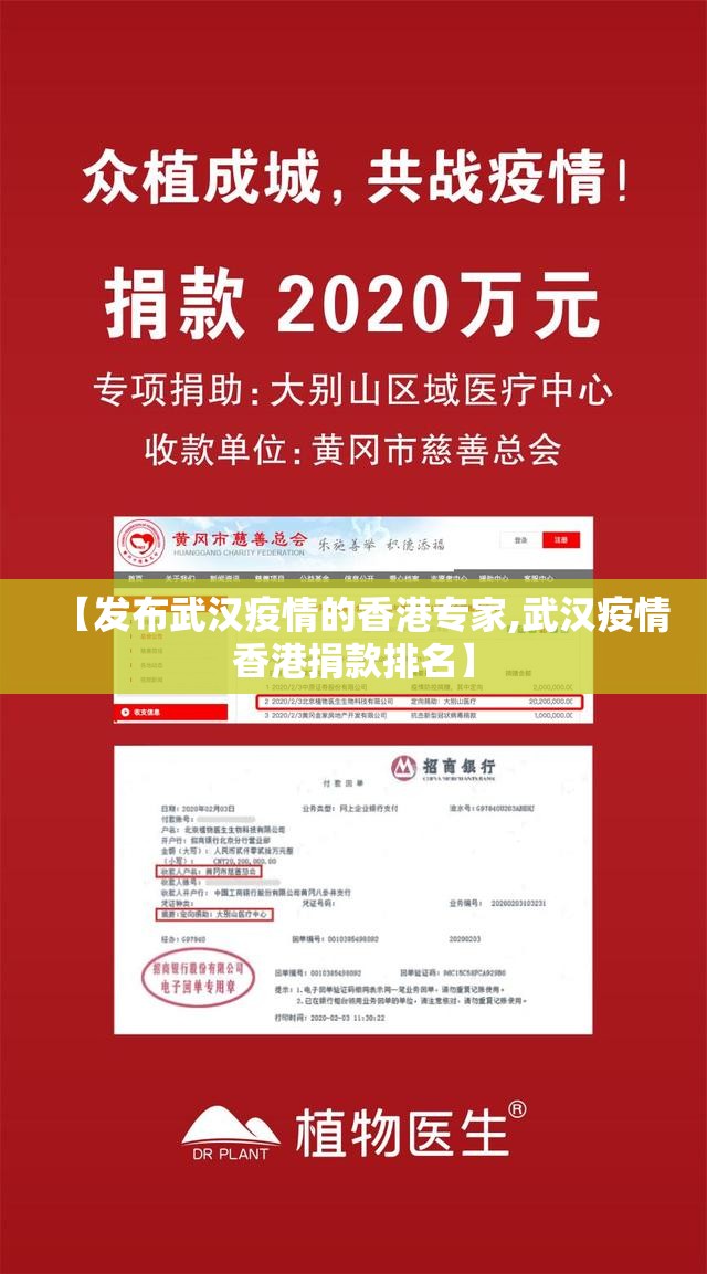 【发布武汉疫情的香港专家,武汉疫情香港捐款排名】