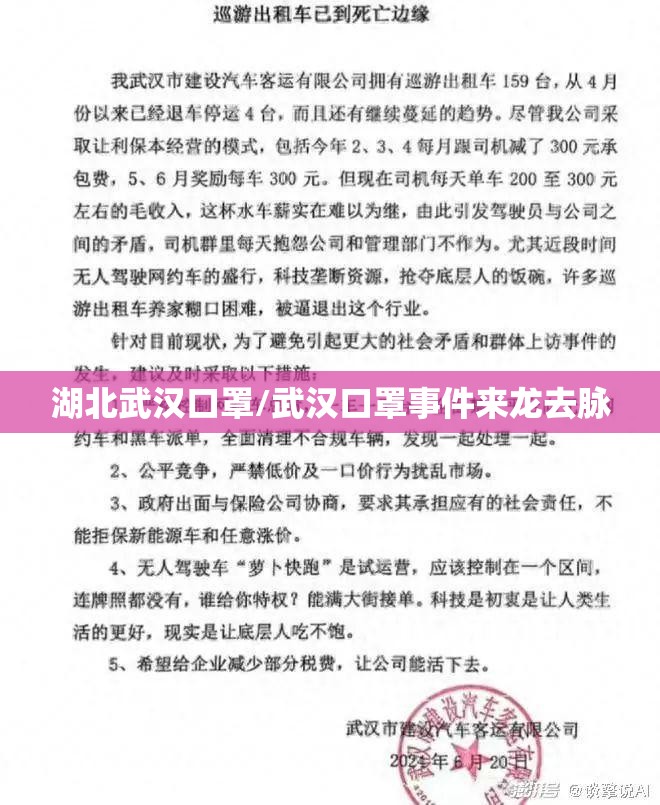 湖北武汉口罩/武汉口罩事件来龙去脉