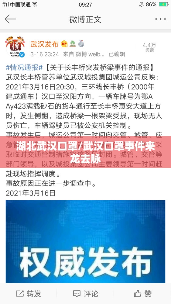 湖北武汉口罩/武汉口罩事件来龙去脉