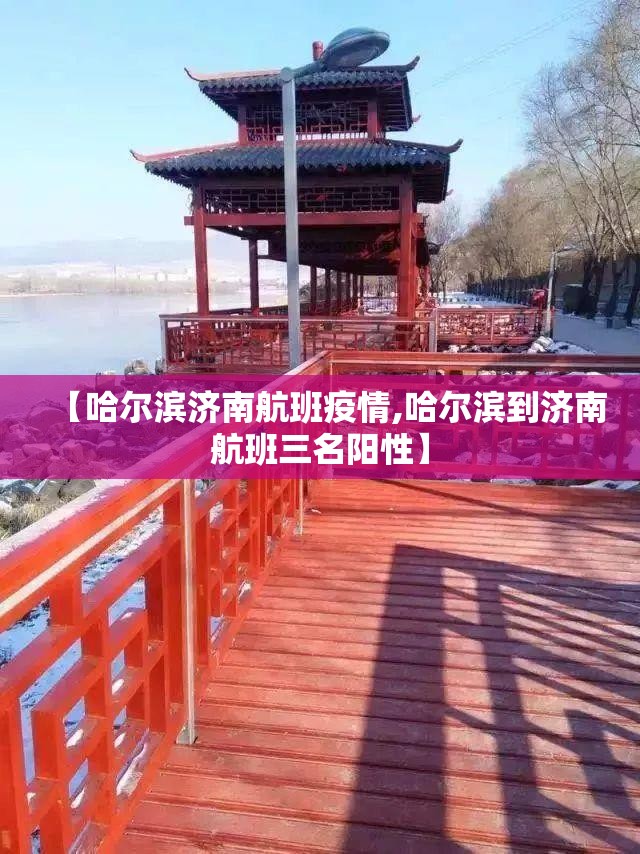 【哈尔滨济南航班疫情,哈尔滨到济南航班三名阳性】