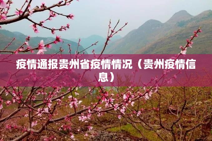 疫情通报贵州省疫情情况（贵州疫情信息）
