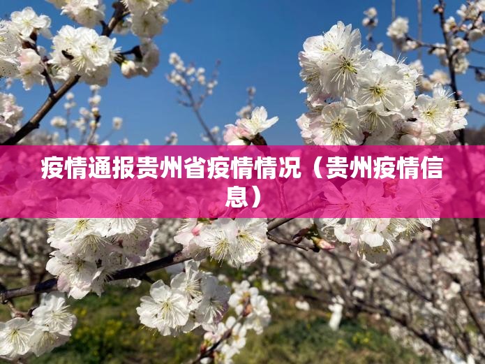 疫情通报贵州省疫情情况（贵州疫情信息）