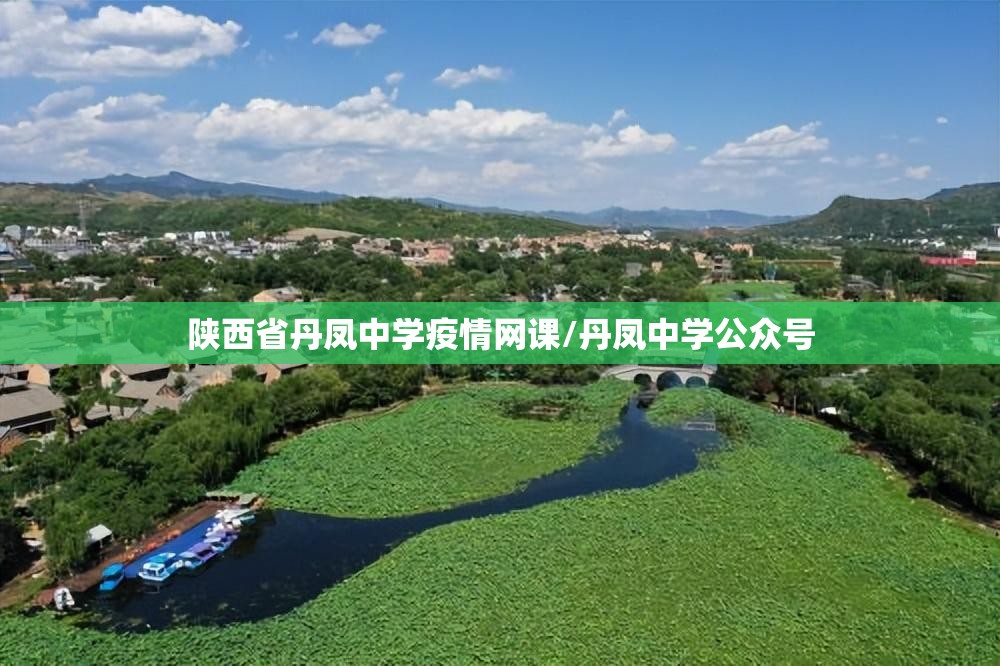 陕西省丹凤中学疫情网课/丹凤中学公众号