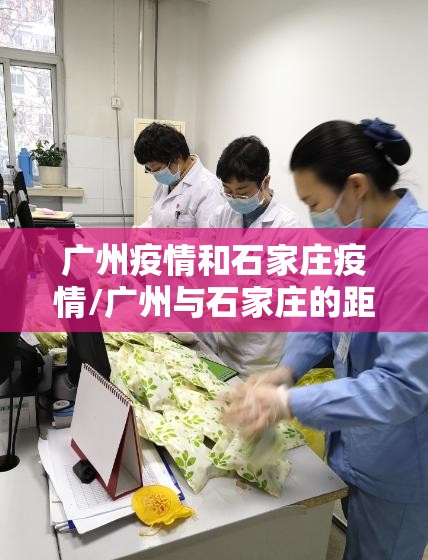 广州疫情和石家庄疫情/广州与石家庄的距离