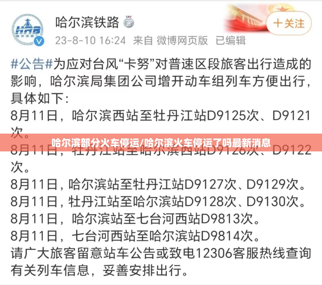 哈尔滨部分火车停运/哈尔滨火车停运了吗最新消息