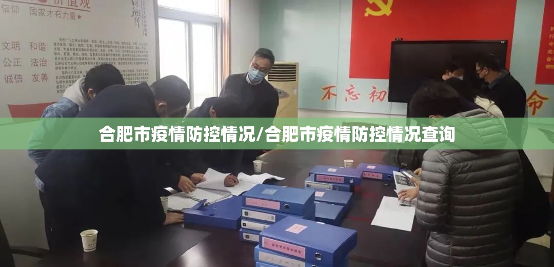 合肥市疫情防控情况/合肥市疫情防控情况查询