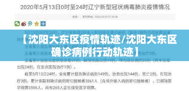【沈阳大东区疫情轨迹/沈阳大东区确诊病例行动轨迹】