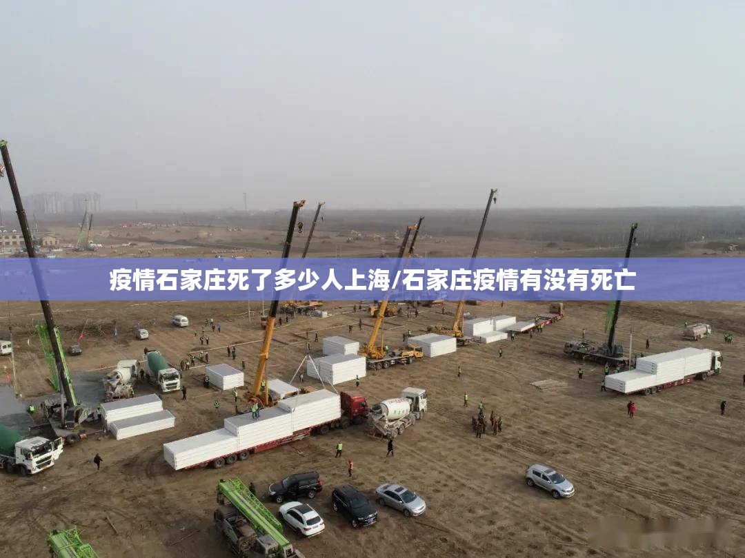 疫情石家庄死了多少人上海/石家庄疫情有没有死亡