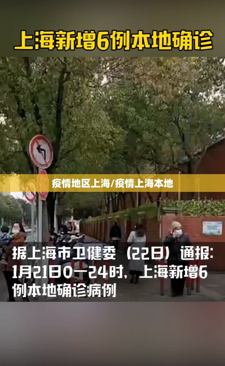 疫情地区上海/疫情上海本地