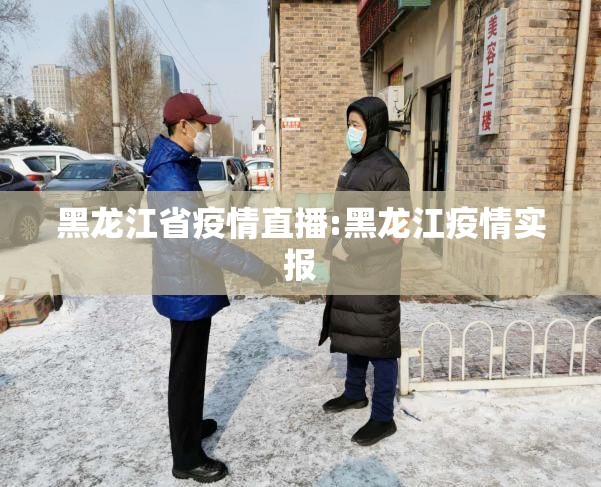 黑龙江省疫情直播:黑龙江疫情实报