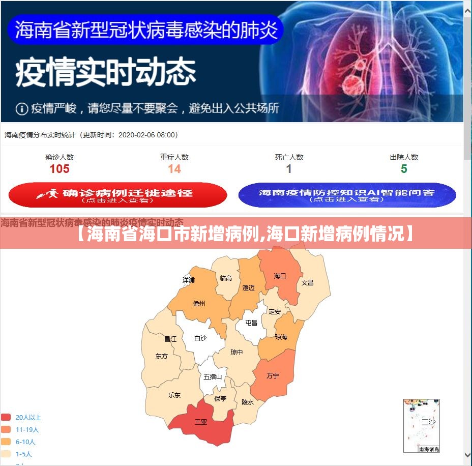 【海南省海口市新增病例,海口新增病例情况】