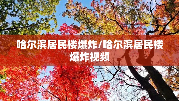 哈尔滨居民楼爆炸/哈尔滨居民楼爆炸视频