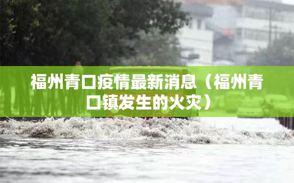 福州青口疫情最新消息（福州青口镇发生的火灾）