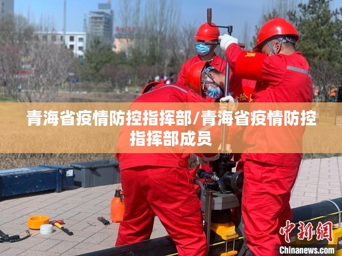 青海省疫情防控指挥部/青海省疫情防控指挥部成员