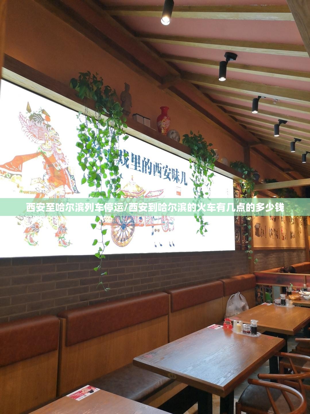 西安至哈尔滨列车停运/西安到哈尔滨的火车有几点的多少钱