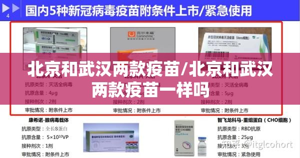 北京和武汉两款疫苗/北京和武汉两款疫苗一样吗