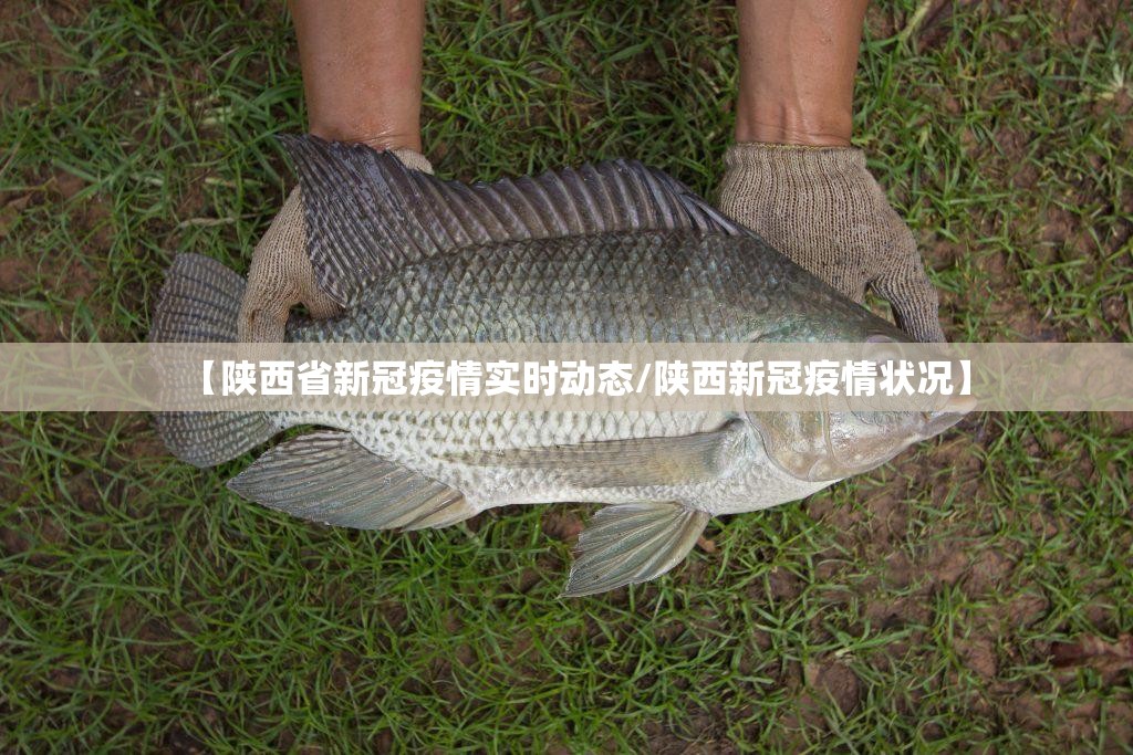 【陕西省新冠疫情实时动态/陕西新冠疫情状况】