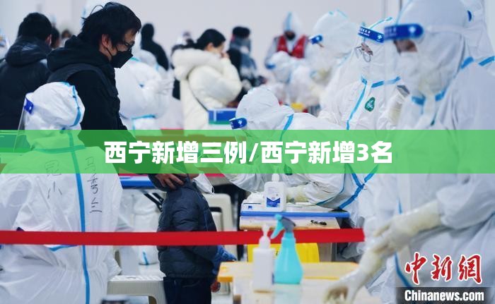 西宁新增三例/西宁新增3名