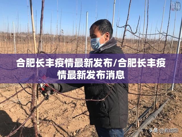 合肥长丰疫情最新发布/合肥长丰疫情最新发布消息