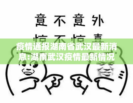 疫情通报湖南省武汉最新消息:湖南武汉疫情最新情况