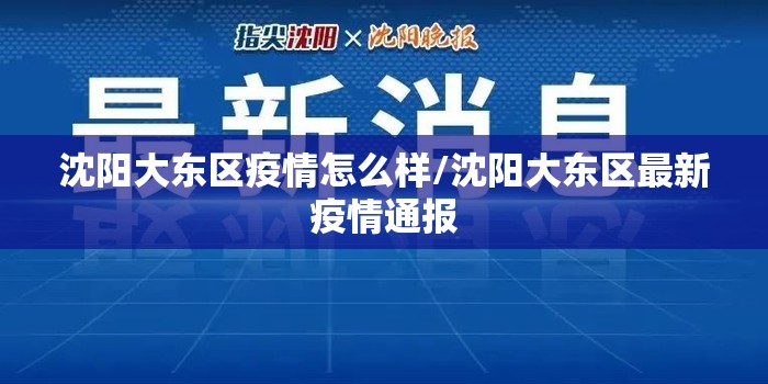 沈阳大东区疫情怎么样/沈阳大东区最新疫情通报