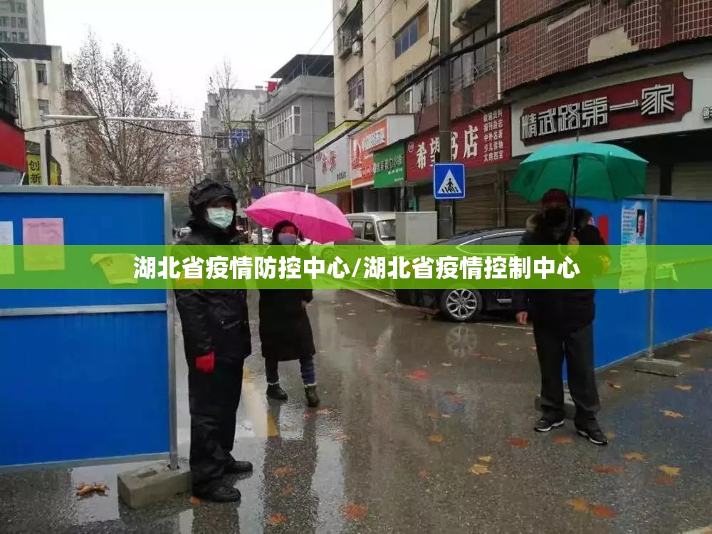 湖北省疫情防控中心/湖北省疫情控制中心