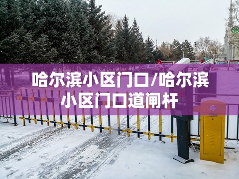 哈尔滨小区门口/哈尔滨小区门口道闸杆