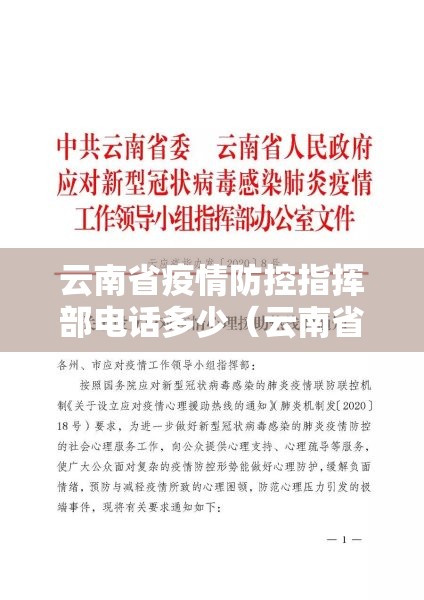 云南省疫情防控指挥部电话多少（云南省疫情防控指挥部举报电话）