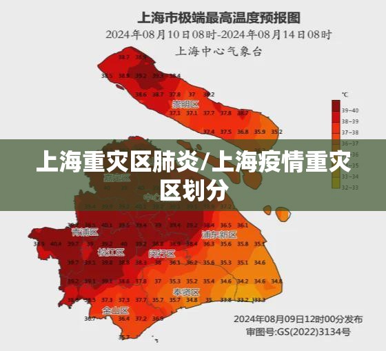 上海重灾区肺炎/上海疫情重灾区划分